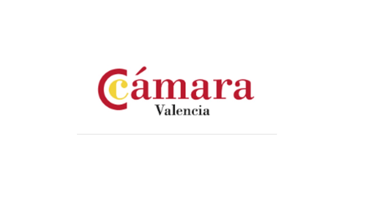 E- CÁMARA CIOs